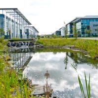 Shelborn snaps up Maxim Office Park for €43m (GB)