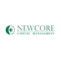 Newcore launches €29.2m self-storage venture (GB)