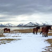 Six Senses Hotels Resorts Spas to open in Iceland