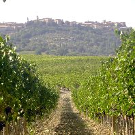 Il Borro Toscana acquired the Pinino Winery in Tuscany (IT)