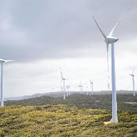 EURAMCO sells Altmark wind farm (DE)